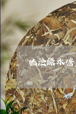 临沧绿水塘古树茶特点/2023071616505