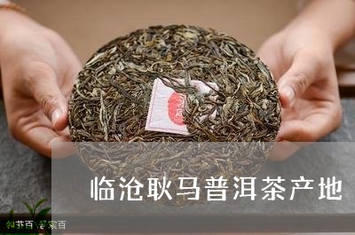 临沧耿马普洱茶产地/2023120566696