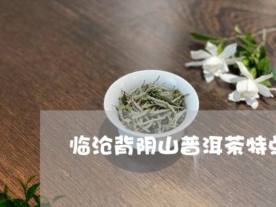 临沧背阴山普洱茶特点/2023100704181