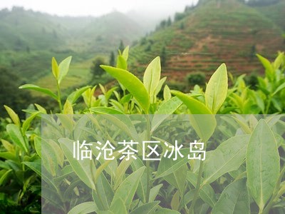 临沧茶区冰岛/2023090756157