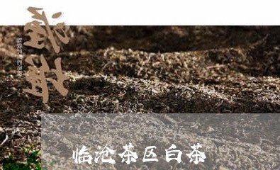 临沧茶区白茶/2023051254067