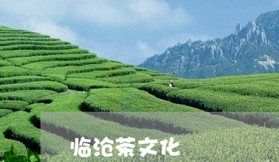 临沧茶文化/2023090251594