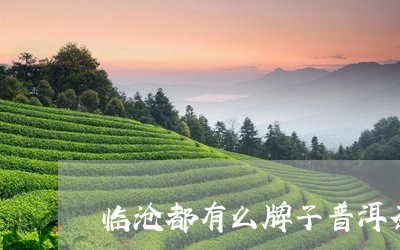 临沧都有么牌子普洱茶/2023100828583