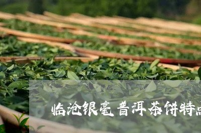 临沧银毫普洱茶饼特点是什么/2023052836192