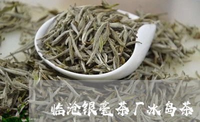 临沧银毫茶厂冰岛茶/2023042611625