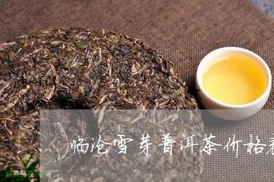 临沧雪芽普洱茶价格表和图片/2023052873825