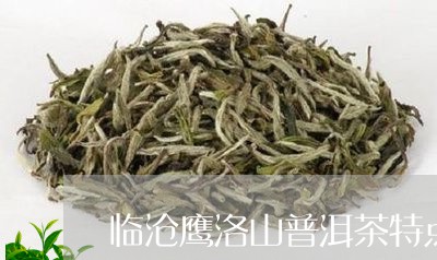 临沧鹰洛山普洱茶特点/2023092849513