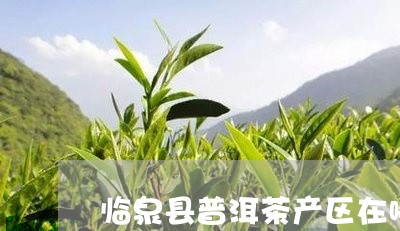 临泉县普洱茶产区在哪儿/2023102461795