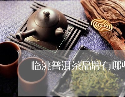 临洮普洱茶品牌有哪些/2023080242605