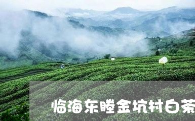 临海东塍金坑村白茶/2023121636140