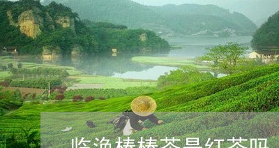 临涣棒棒茶是红茶吗/2023042095949