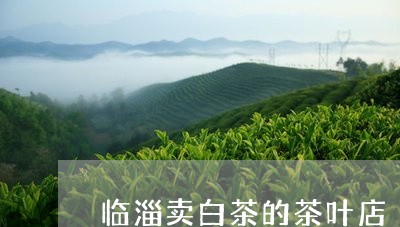 临淄卖白茶的茶叶店/2023071439461