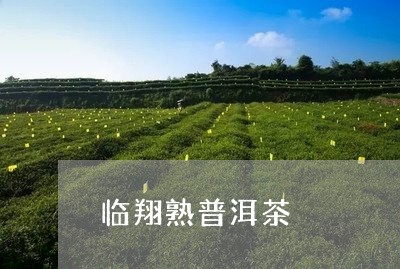 临翔熟普洱茶/2023042814632