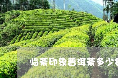 临茶印象普洱茶多少钱/2023062303948