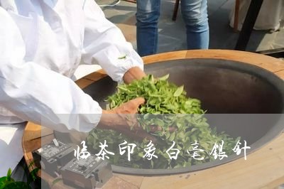 临茶印象白毫银针/2023090617492