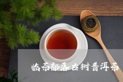 临茶部落古树普洱茶/2023120498573