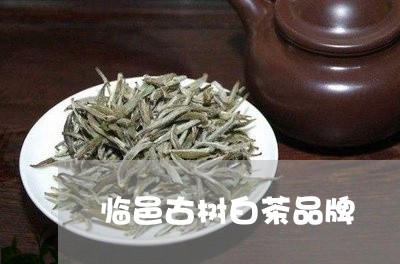 临邑古树白茶品牌/2023061439483