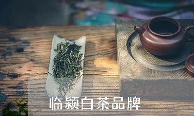 临颍白茶品牌/2023051204270