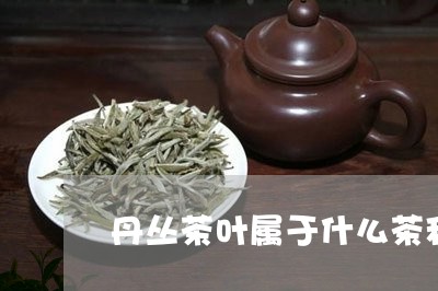 丹丛茶叶属于什么茶种/2023092253604