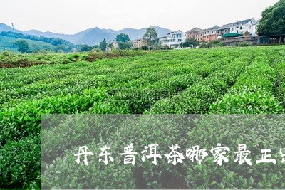 丹东普洱茶哪家最正宗/2023080203606