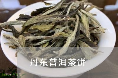 丹东普洱茶饼/2023042801477