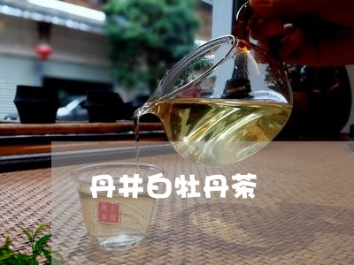 丹井白牡丹茶/2023051225293