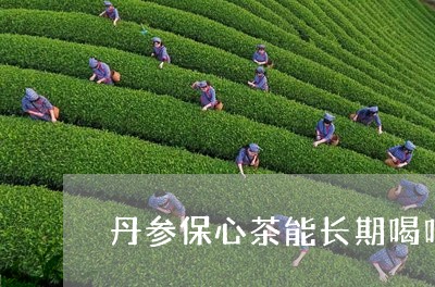 丹参保心茶能长期喝吗/2023071447159