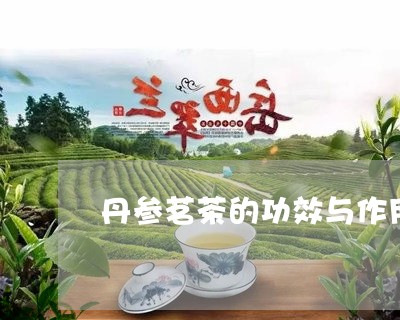 丹参茗茶的功效与作用/2023071585047