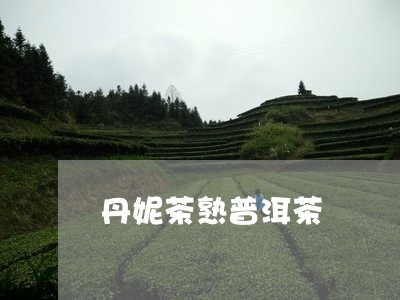 丹妮茶熟普洱茶/2023112649482