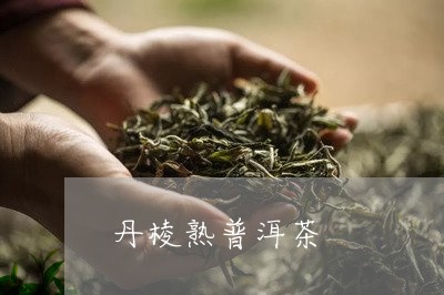 丹棱熟普洱茶/2023042789189