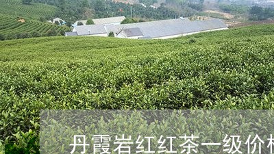 丹霞岩红红茶一级价格/2023060955957