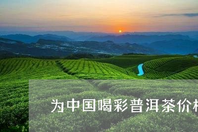 为中国喝彩普洱茶价格/2023080348481