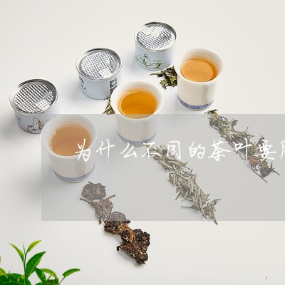 为什么不同的茶叶要用不同温度的水/2023060406857