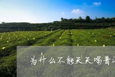 为什么不能天天喝普洱茶/2023102413257