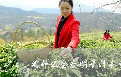 为什么会发明普洱茶饼子/2023112720570