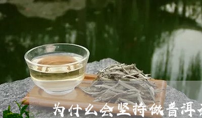 为什么会坚持做普洱茶/2023120697260