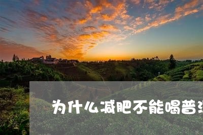 为什么减肥不能喝普洱茶/2023050647261