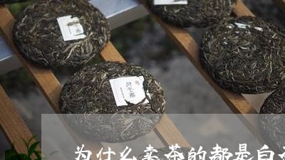 为什么卖茶的都是白茶/2023092672049