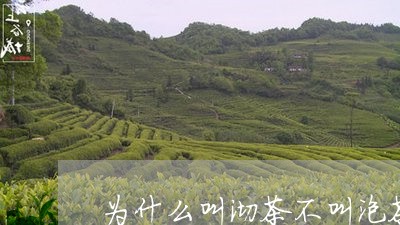 为什么叫沏茶不叫泡茶/2023071526058