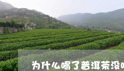 为什么喝了普洱茶没味/2023072451725