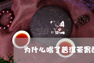 为什么喝了普洱茶胃酸/2023062450507