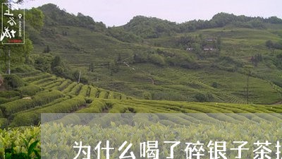 为什么喝了碎银子茶拉肚子/2023051118152