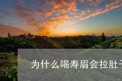 为什么喝寿眉会拉肚子呢/2023092450693