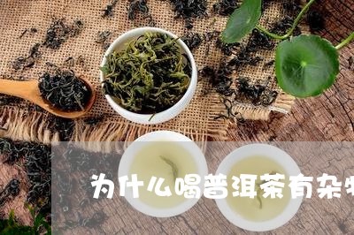 为什么喝普洱茶有杂物/2023062136958