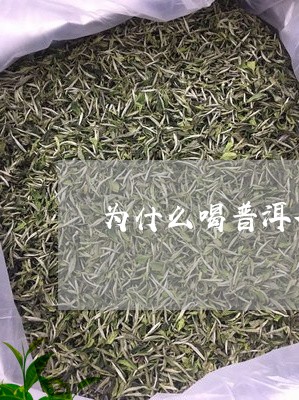 为什么喝普洱茶有水味/2023093046368