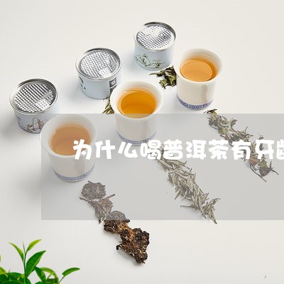 为什么喝普洱茶有牙龈出血的味道/2023082679371