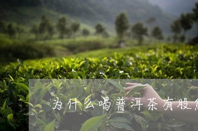 为什么喝普洱茶有股焦苦味/2023112939381