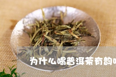 为什么喝普洱茶有韵味/2023092948373