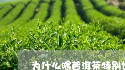 为什么喝普洱茶特别饿/2023092961705