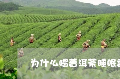 为什么喝普洱茶睡眠香/2023062259491